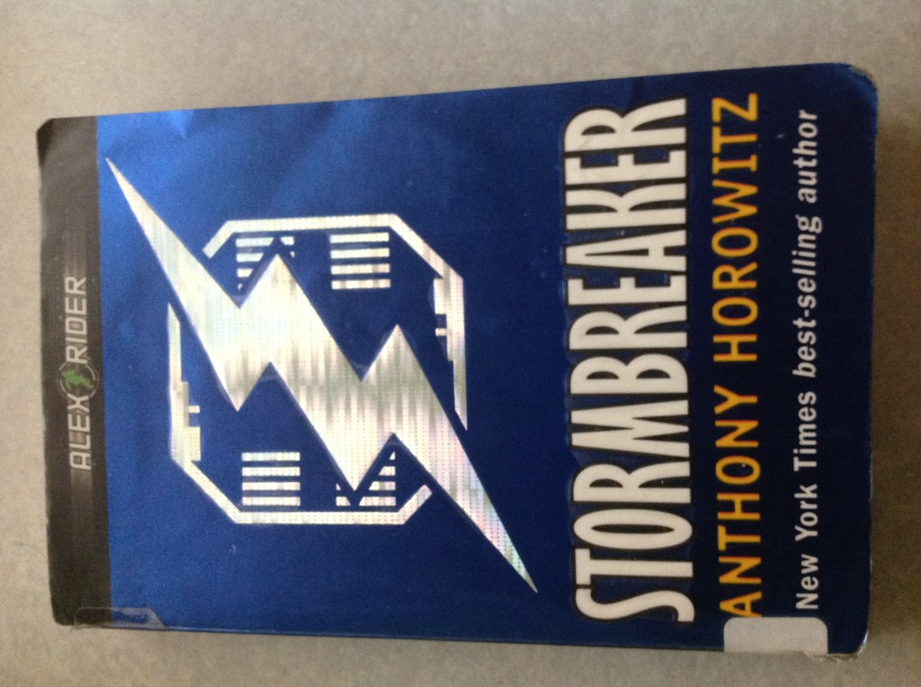 StormBreaker book cover