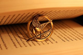 Hunger Games Book Review By: Norman