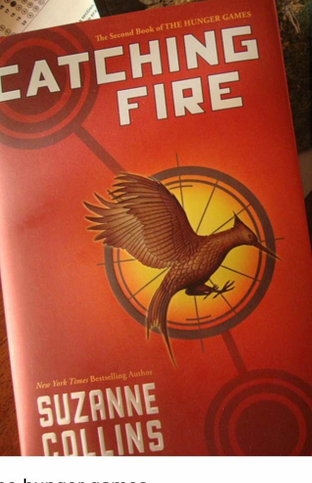 Book Review: Catching Fire by Miriam D.