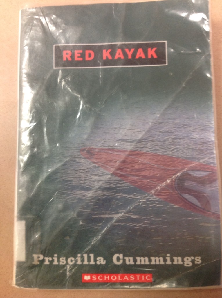 Red Kayak By Shaffer W