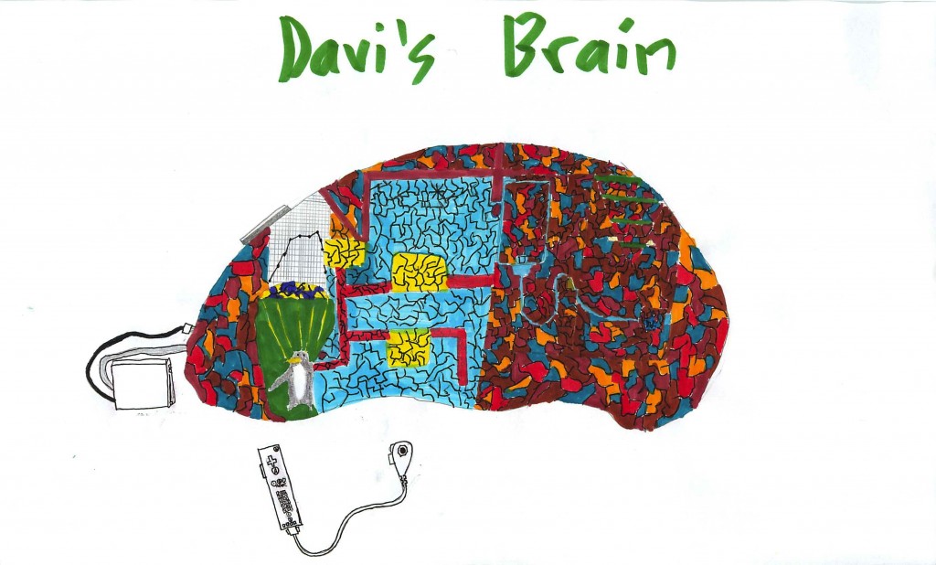 My Brain by Davi