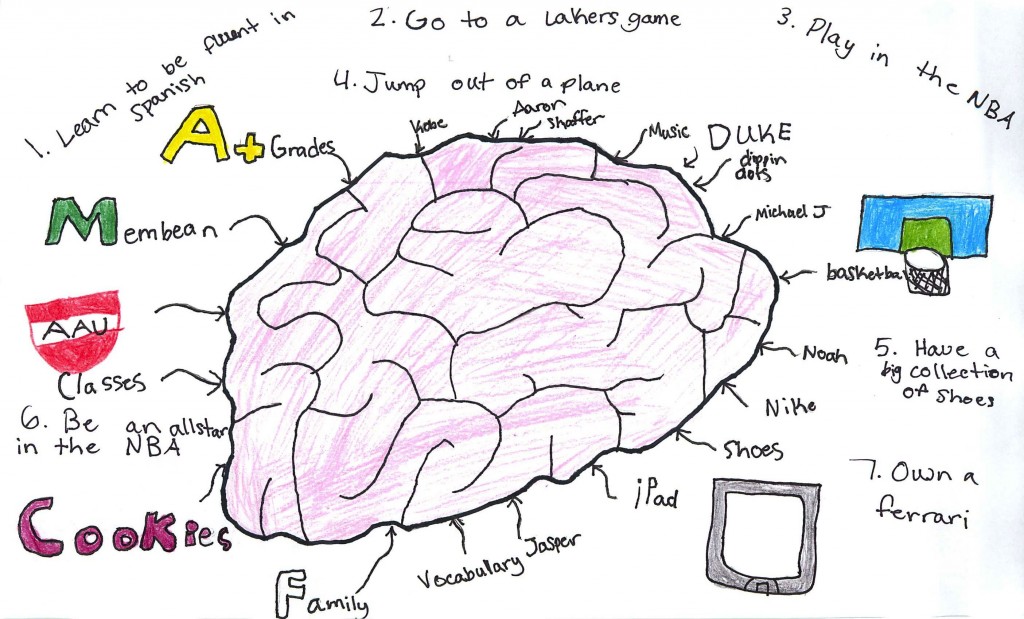 Brain by Michael S