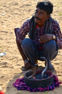 DSC_3244 snake charmer camel fair last day