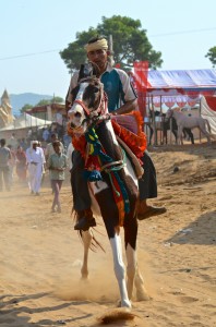 DSC_3409 horse at camel market last day